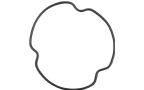 product-nav-img